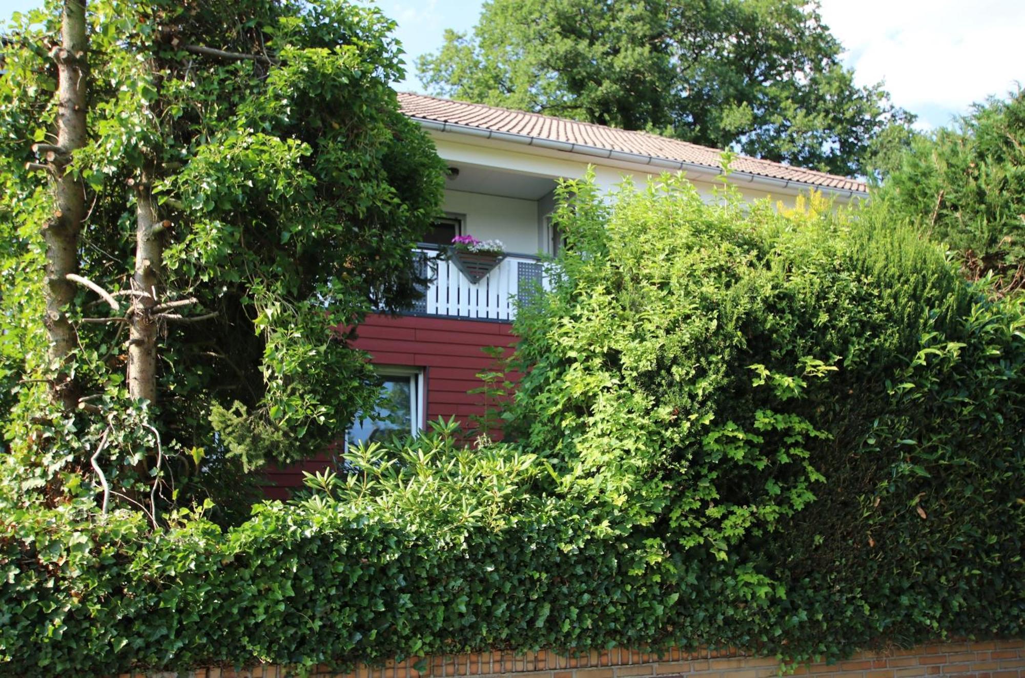 Ferienwohnung Zum Rosengarten West015 Westerwald Driedorf Exteriér fotografie